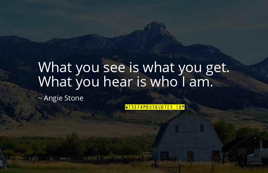 Arhats Buddhism Quotes By Angie Stone: What you see is what you get. What