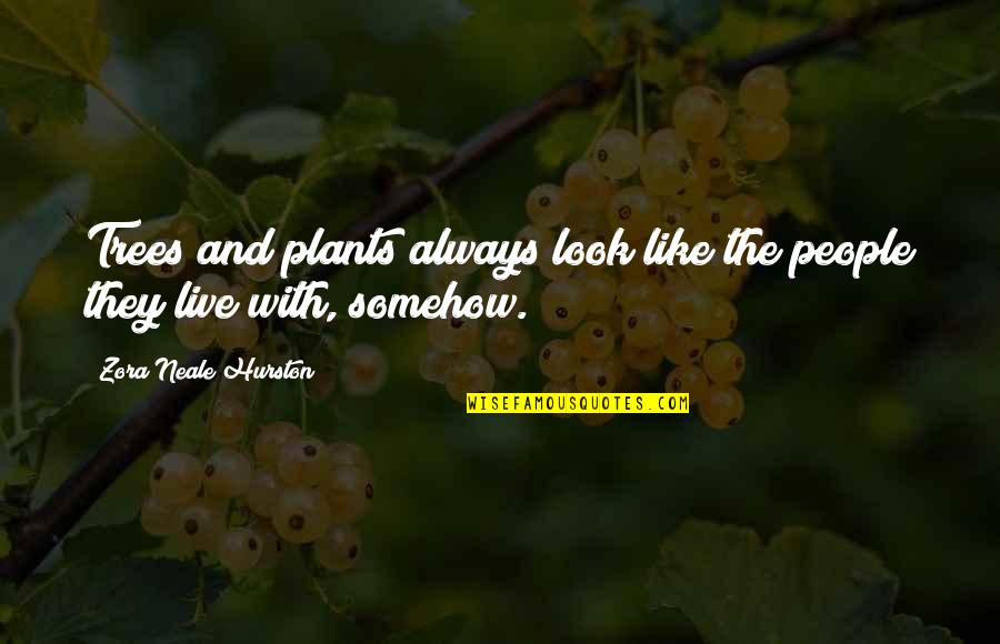 Aria Montgomery Love Quotes By Zora Neale Hurston: Trees and plants always look like the people