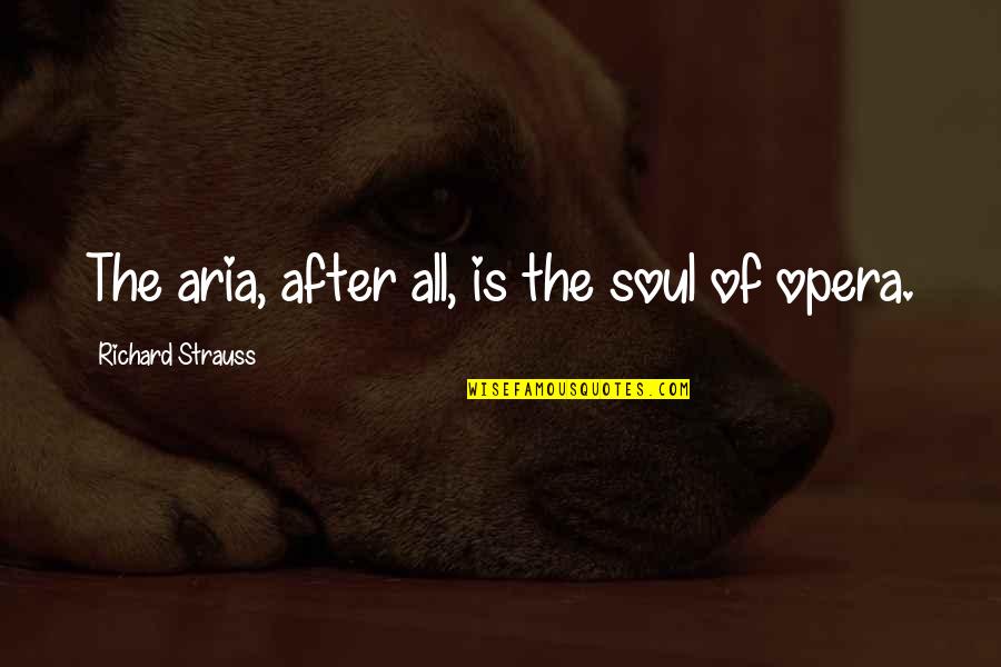 Aria Quotes By Richard Strauss: The aria, after all, is the soul of