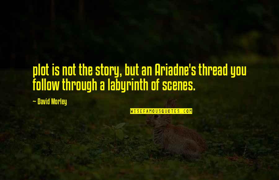 Ariadne's Quotes By David Morley: plot is not the story, but an Ariadne's