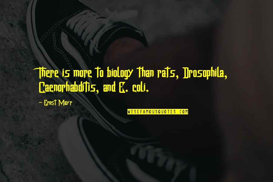Aricka Carter Quotes By Ernst Mayr: There is more to biology than rats, Drosophila,