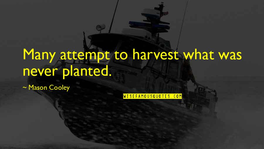 Arieh Warshel Quotes By Mason Cooley: Many attempt to harvest what was never planted.