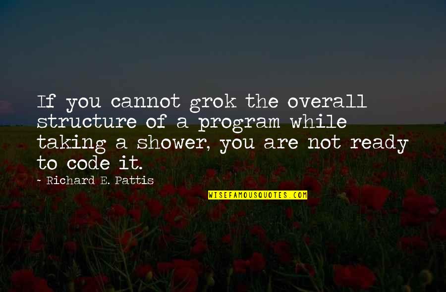 Ariel Camacho La Vida Ruina Quotes By Richard E. Pattis: If you cannot grok the overall structure of Ariel Camacho La Vida Ruina Quotes By Richard E. Pattis: If you cannot grok the overall structure of