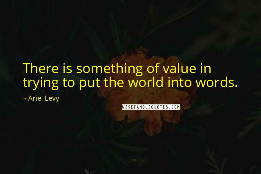 Ariel Levy quotes: There is something of value in trying to put the world into words.