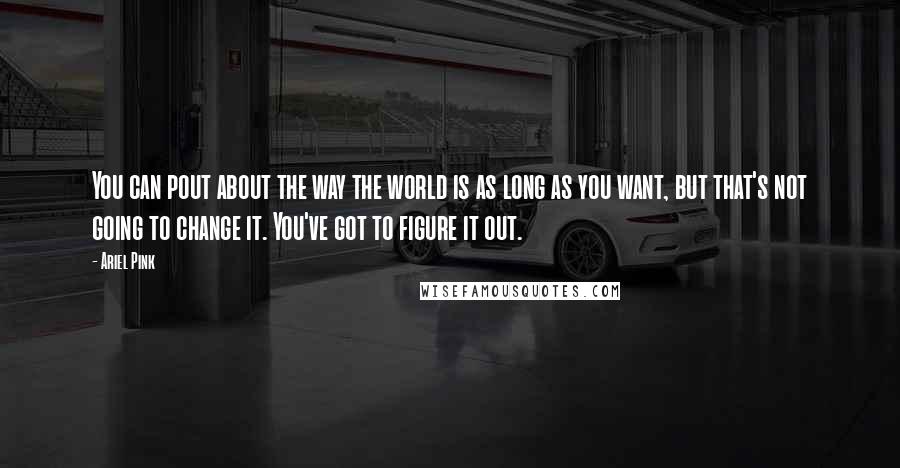 Ariel Pink quotes: You can pout about the way the world is as long as you want, but that's not going to change it. You've got to figure it out.