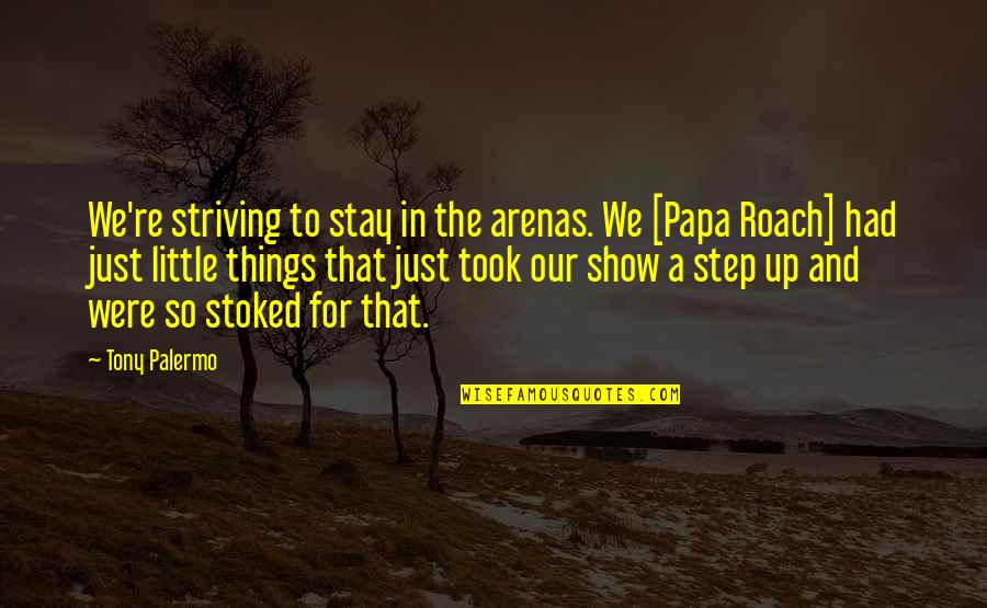 Arienne Cox Quotes By Tony Palermo: We're striving to stay in the arenas. We Arienne Cox Quotes By Tony Palermo: We're striving to stay in the arenas. We