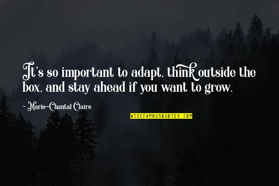 Ariette Gerges Quotes By Marie-Chantal Claire: It's so important to adapt, think outside the