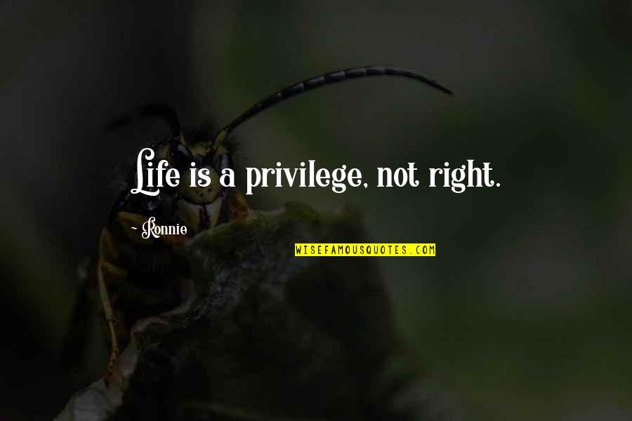 Ariette Van Quotes By Ronnie: Life is a privilege, not right.