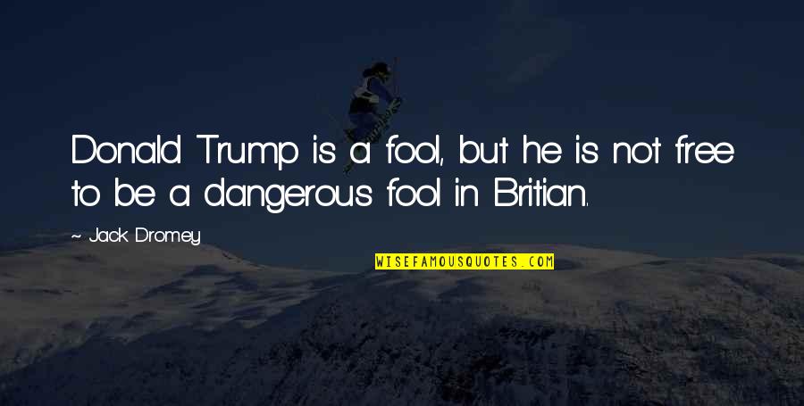 Arimaa's Quotes By Jack Dromey: Donald Trump is a fool, but he is