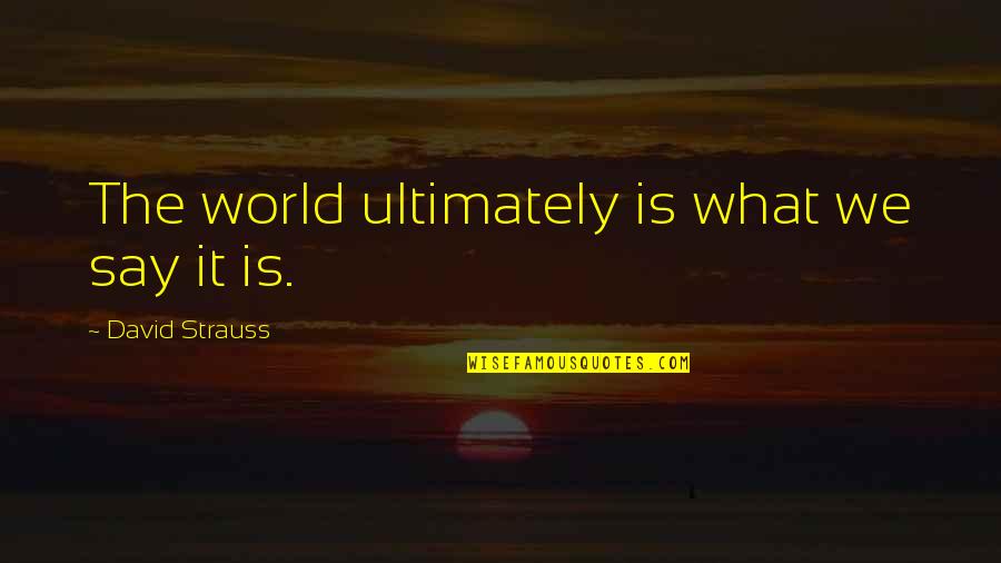 Arinka Egando Quotes By David Strauss: The world ultimately is what we say it