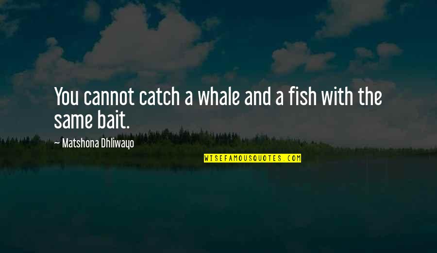 Aripar Quotes By Matshona Dhliwayo: You cannot catch a whale and a fish