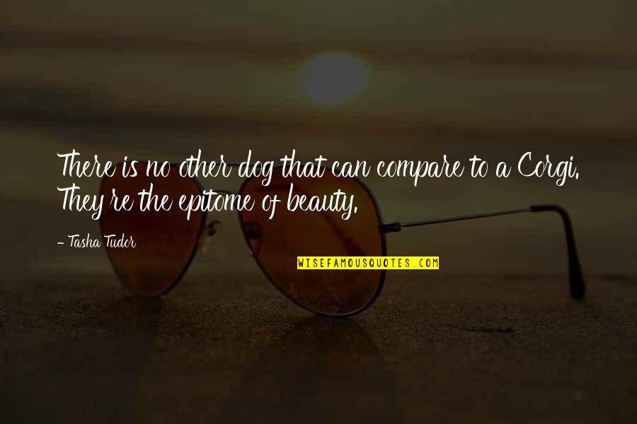 Arisawa Tatsuki Quotes By Tasha Tudor: There is no other dog that can compare