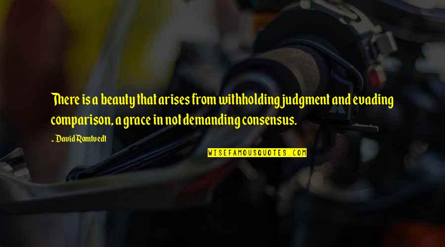 Arises Quotes By David Romtvedt: There is a beauty that arises from withholding