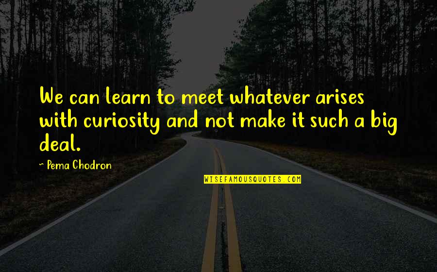 Arises Quotes By Pema Chodron: We can learn to meet whatever arises with