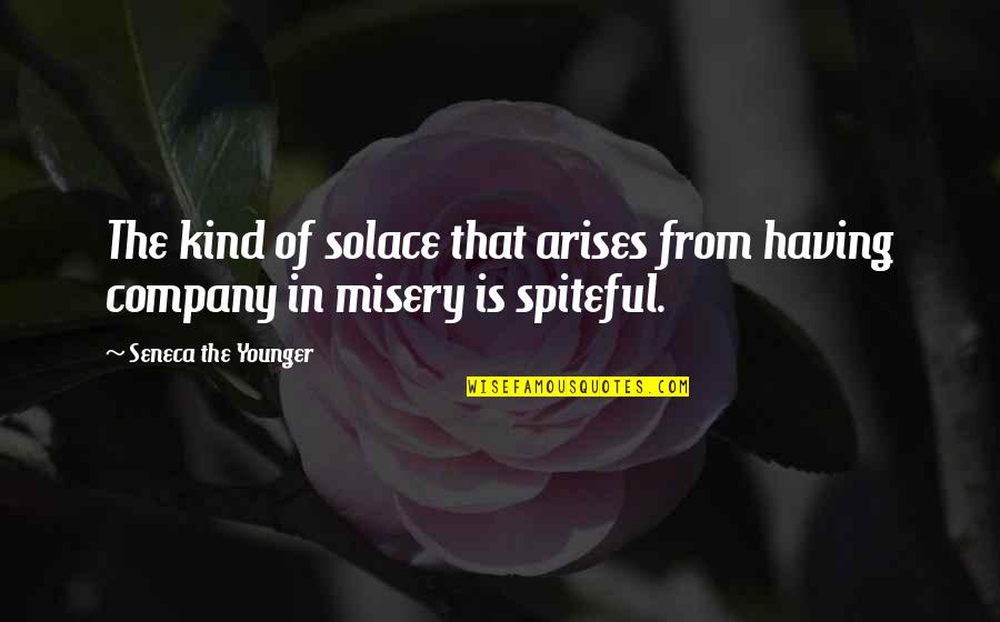Arises Quotes By Seneca The Younger: The kind of solace that arises from having