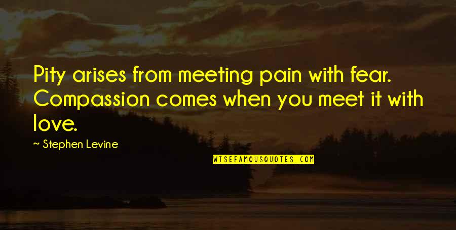 Arises Quotes By Stephen Levine: Pity arises from meeting pain with fear. Compassion