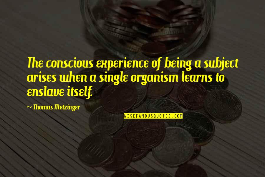 Arises Quotes By Thomas Metzinger: The conscious experience of being a subject arises