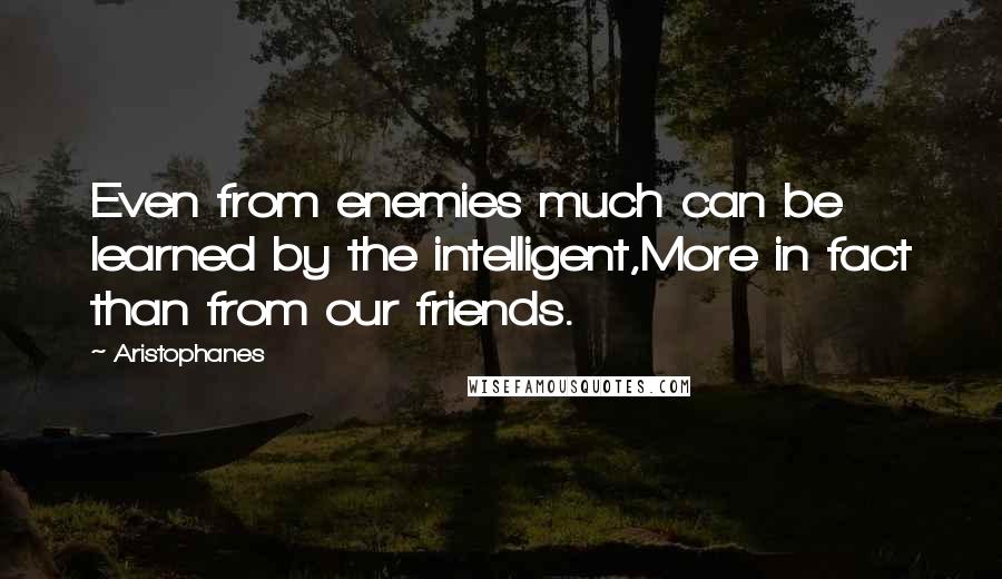 Aristophanes quotes: Even from enemies much can be learned by the intelligent,More in fact than from our friends. Aristophanes quotes: Even from enemies much can be learned by the intelligent,More in fact than from our friends.
