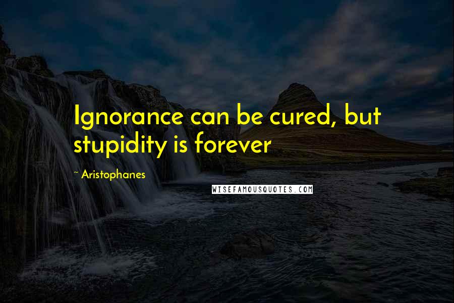 Aristophanes quotes: Ignorance can be cured, but stupidity is forever