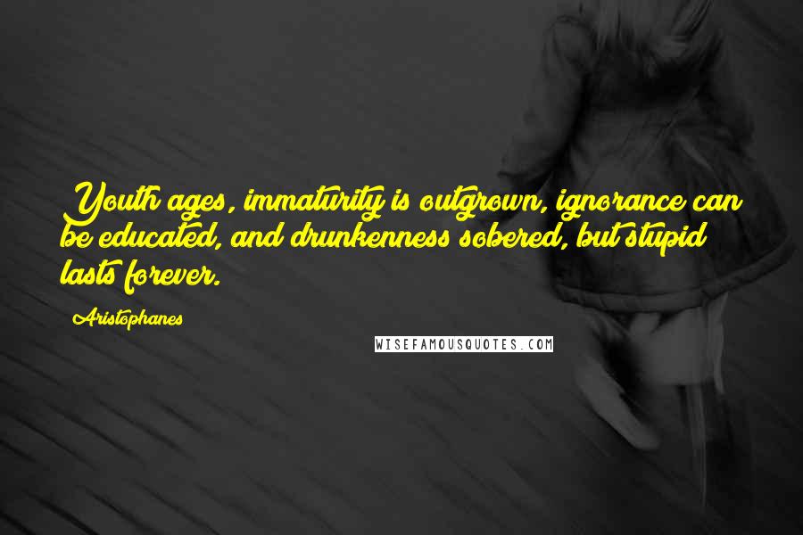 Aristophanes quotes: Youth ages, immaturity is outgrown, ignorance can be educated, and drunkenness sobered, but stupid lasts forever. Aristophanes quotes: Youth ages, immaturity is outgrown, ignorance can be educated, and drunkenness sobered, but stupid lasts forever.