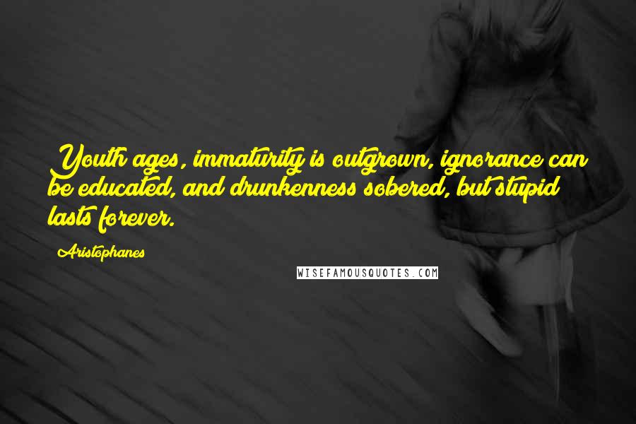 Aristophanes quotes: Youth ages, immaturity is outgrown, ignorance can be educated, and drunkenness sobered, but stupid lasts forever.