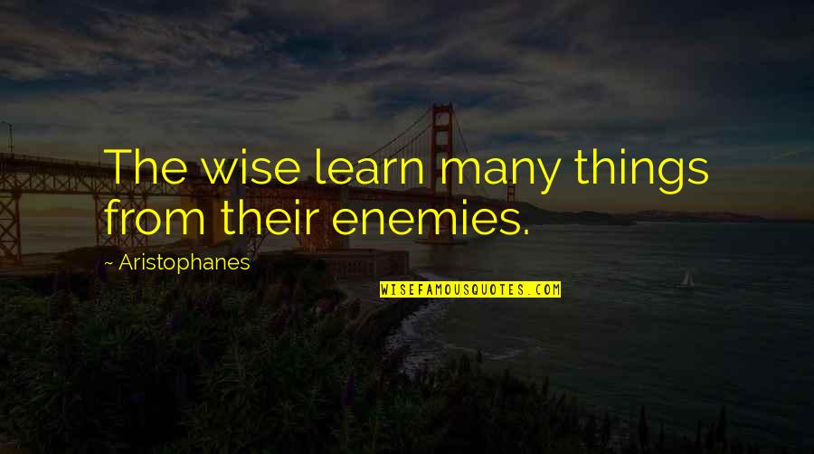 Aristophanes Quotes By Aristophanes: The wise learn many things from their enemies.