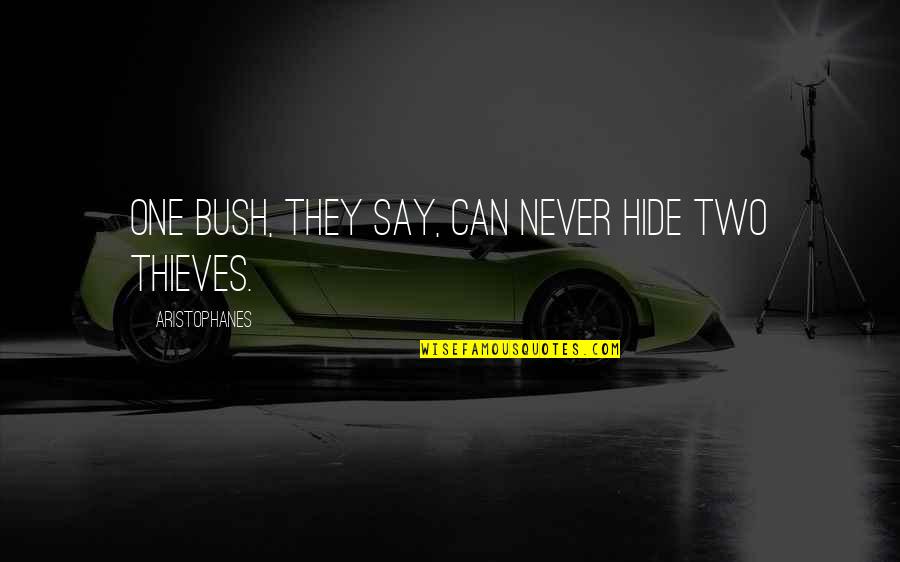 Aristophanes Quotes By Aristophanes: One bush, they say, can never hide two Aristophanes Quotes By Aristophanes: One bush, they say, can never hide two