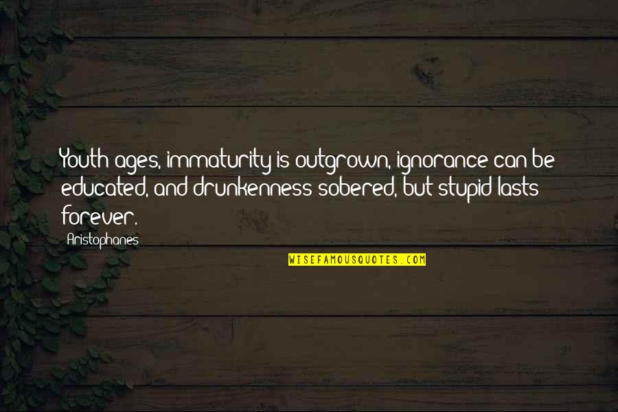 Aristophanes Quotes By Aristophanes: Youth ages, immaturity is outgrown, ignorance can be