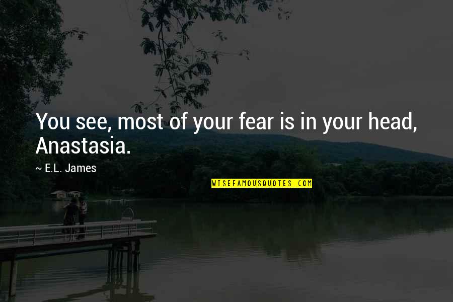 Aristorchus Quotes By E.L. James: You see, most of your fear is in