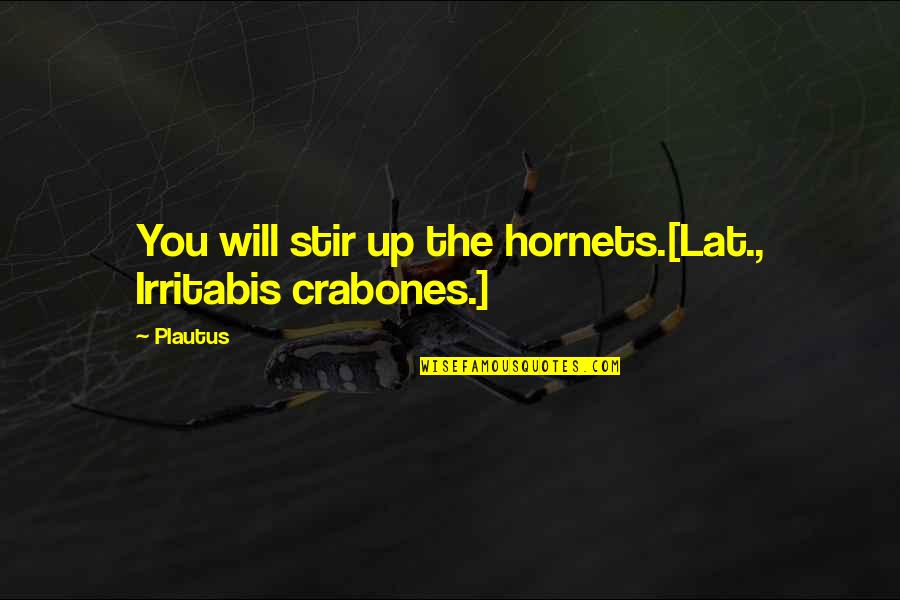 Aristotle Democracy And Oligarchy Quotes By Plautus: You will stir up the hornets.[Lat., Irritabis crabones.]