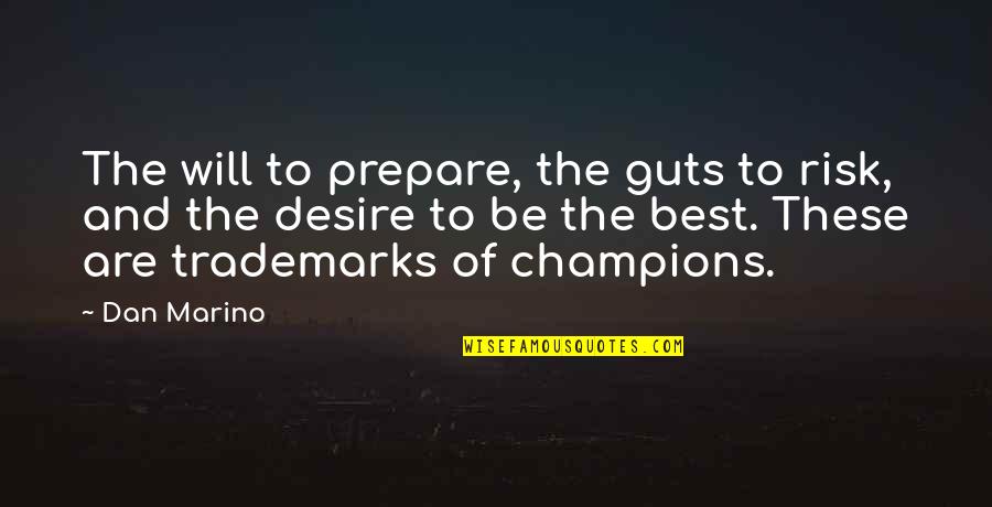 Aristotle Four Causes Quotes By Dan Marino: The will to prepare, the guts to risk,