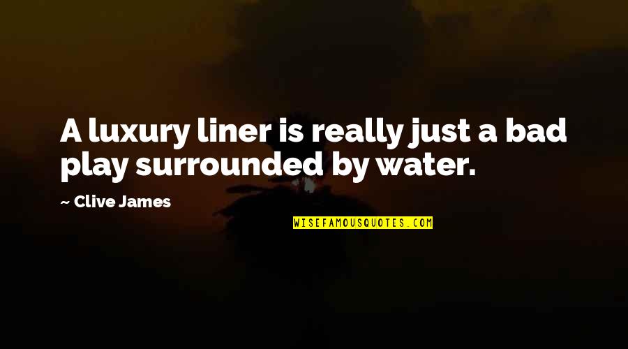 Aristotle Nicomachean Ethics Quotes By Clive James: A luxury liner is really just a bad
