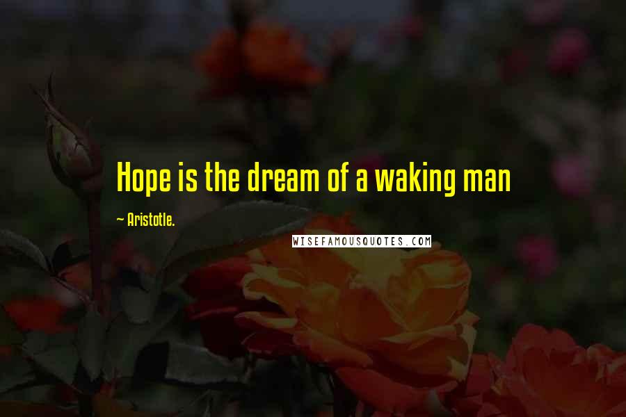 Aristotle. quotes: Hope is the dream of a waking man