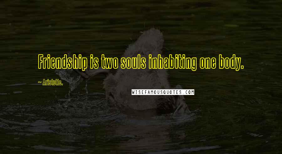 Aristotle. quotes: Friendship is two souls inhabiting one body.