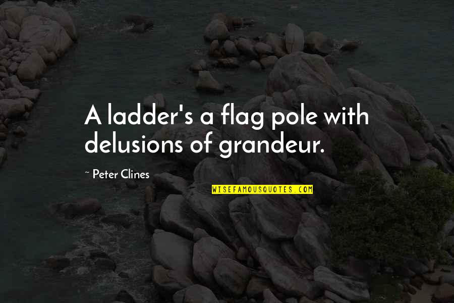 Arizaga Shotguns Quotes By Peter Clines: A ladder's a flag pole with delusions of