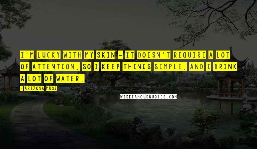 Arizona Muse quotes: I'm lucky with my skin - it doesn't require a lot of attention, so I keep things simple. And I drink a lot of water.