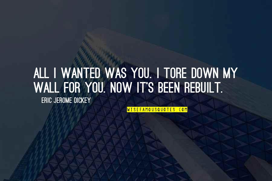 Arizona Quotes By Eric Jerome Dickey: All I wanted was you. I tore down