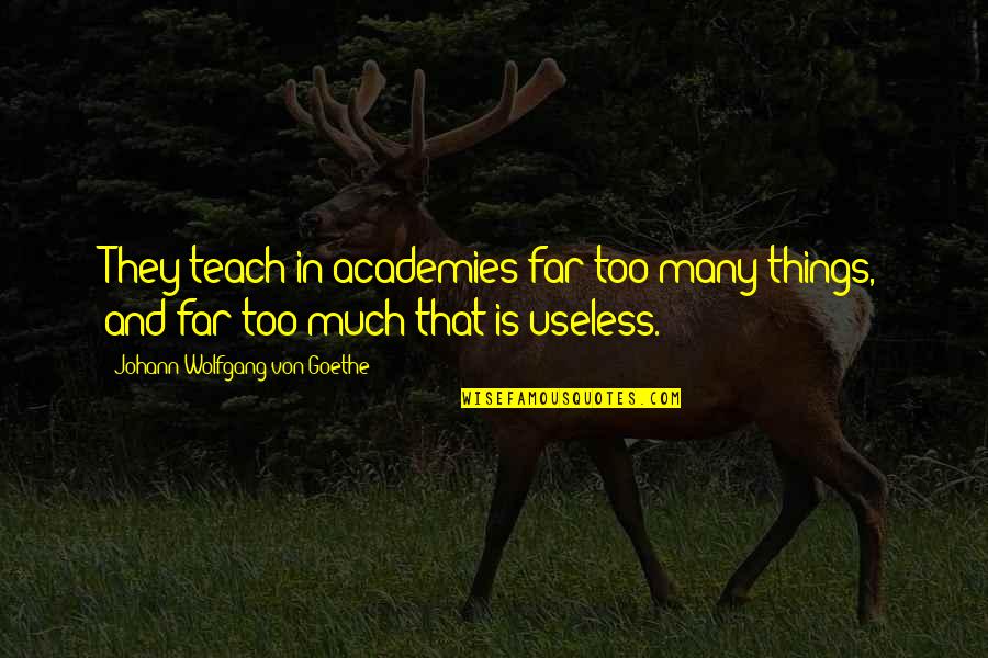 Arjumand Hussain Quotes By Johann Wolfgang Von Goethe: They teach in academies far too many things,