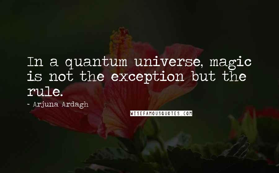Arjuna Ardagh quotes: In a quantum universe, magic is not the exception but the rule.
