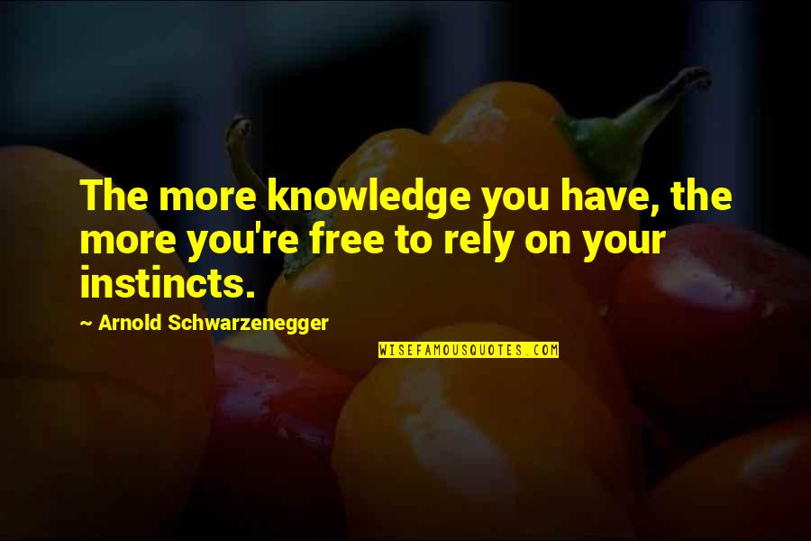 Arkadyevitch Quotes By Arnold Schwarzenegger: The more knowledge you have, the more you're