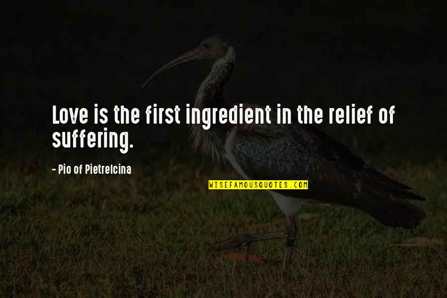 Arkan Quotes By Pio Of Pietrelcina: Love is the first ingredient in the relief