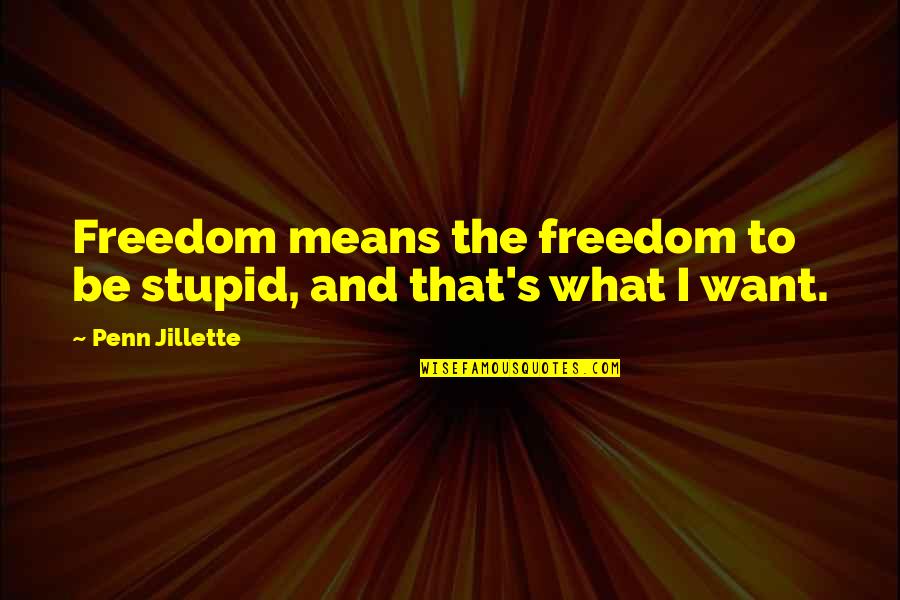 Arkane Studios Quotes By Penn Jillette: Freedom means the freedom to be stupid, and