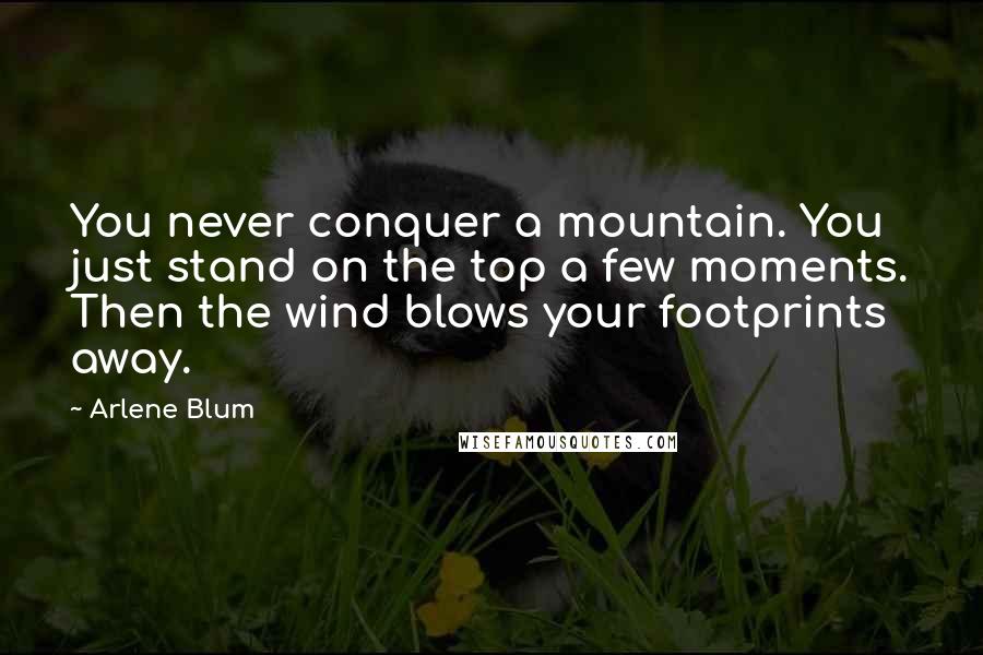 Arlene Blum quotes: You never conquer a mountain. You just stand on the top a few moments. Then the wind blows your footprints away.