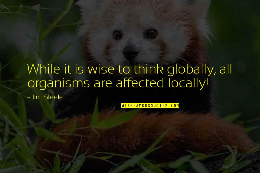 Armageddon Billy Bob Thornton Quotes By Jim Steele: While it is wise to think globally, all