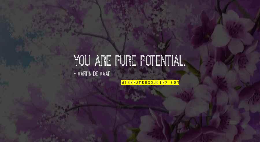 Armed Resistance Quotes By Martin De Maat: You are pure potential.