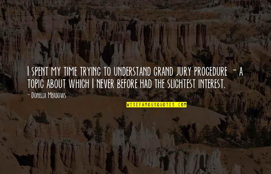 Armenians Greatness Quotes By Donella Meadows: I spent my time trying to understand grand