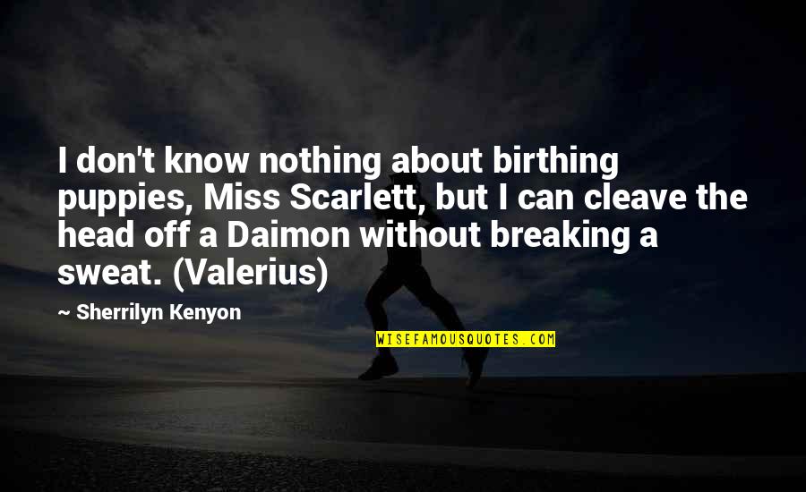 Armesto Inmobiliaria Quotes By Sherrilyn Kenyon: I don't know nothing about birthing puppies, Miss