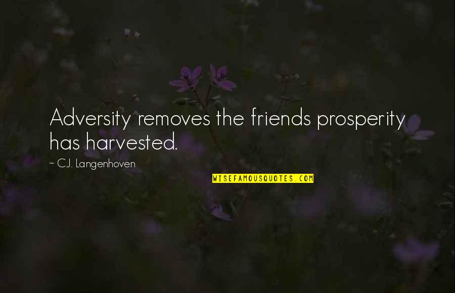 Armfeldt Quotes By C.J. Langenhoven: Adversity removes the friends prosperity has harvested.