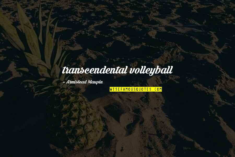 Armistead Quotes By Armistead Maupin: transcendental volleyball