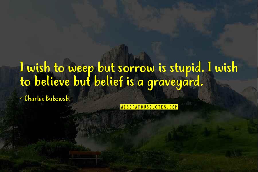 Armistices Quotes By Charles Bukowski: I wish to weep but sorrow is stupid.